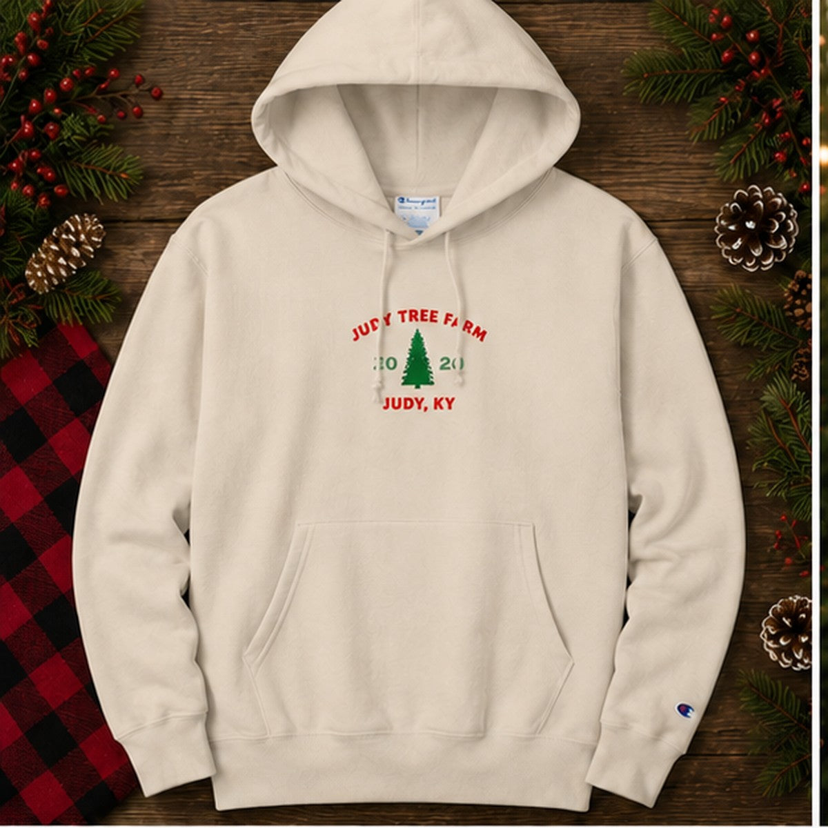 Coordinates Hoodie
